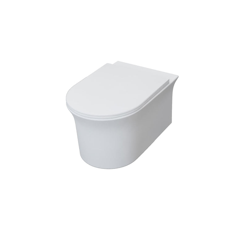 AICA Bathroom Rimless Wall Hung Toilet Pan WC Soft Close Seat (UF)