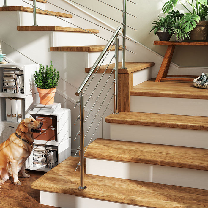 AICA Outdoor Indoor Stainless Steel Handrail steps 5 Cross bars Stairs Balustrade Grab Rail