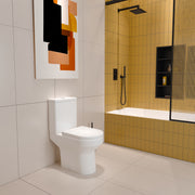 close-coupled-toilet-032-02.jpg